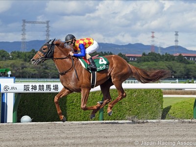 Japanese Dirt Champion, T O Keynes, A Promising Contender ... Image 1